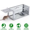 Single Door Rat Trap Cage Humane Rodent Trap Mouse Trap Indoor Outdoor for Small Rodents Mice Voles Hamsters