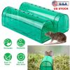 2Pcs Reusable Humane Mouse Trap Live Catch And Release Mouse Cage Animal Pest Rodent Hamster Capture Trap Finger Safe For Small Mice
