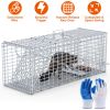 Live Animal Trap Cage 37x14x15in Folding Catch and Release Humane Cat Trap Galvanized Iron for Raccoons Foxes Coyotes Stray Dogs Armadillos Squirrels