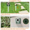 Solar Ultrasonic Animal Repeller USB Motion Sensor Animal Repellent Chaser IP55 Waterproof for Farm Garden Yard to Drive Deer Raccoon Squirrel