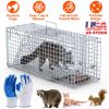 25.59Inch Live Humane Animal Trap Cage Heavy Duty Folding Catch And Release Rodent Cage For Rabbit Squirrel Possum Skunk Kitten Raccoon And More